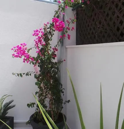 Appartamento City Garden Spalato